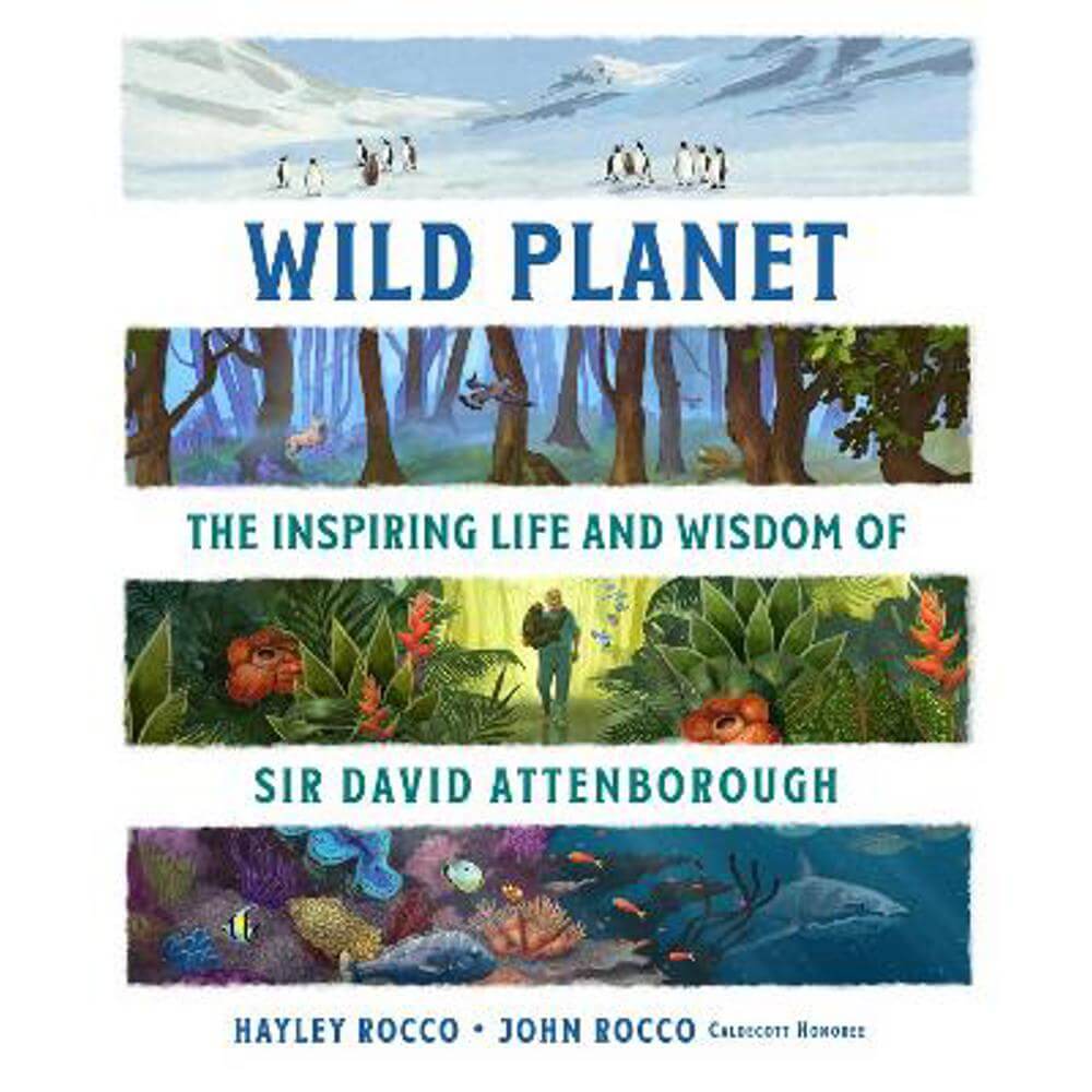 Wild Planet: The Inspiring Life and Wisdom of Sir David Attenborough (Paperback) - Hayley Rocco